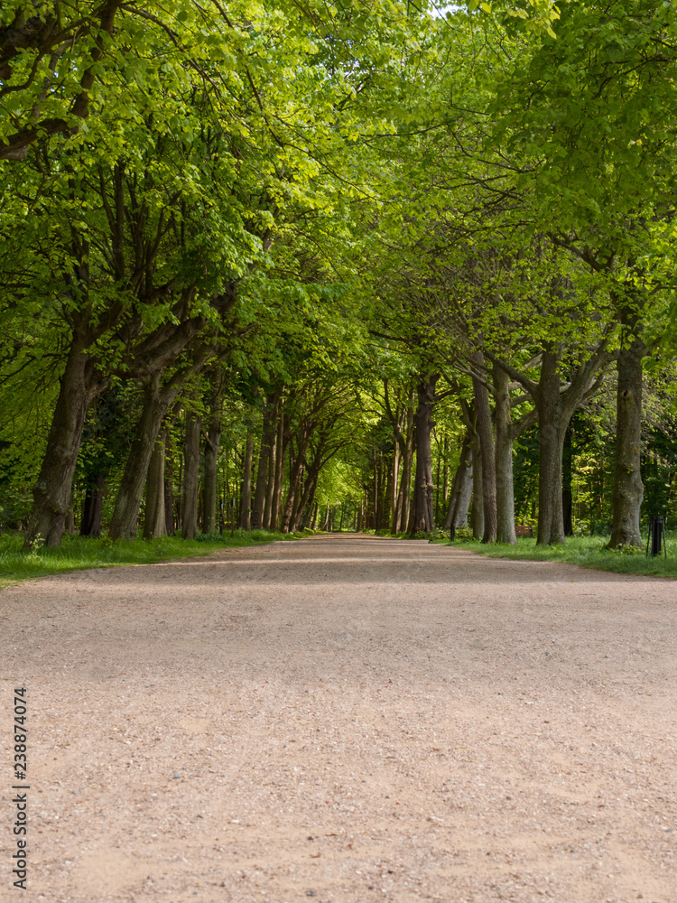 Obraz premium Straight path in the park of Castle Westhove near Domburg on the island Walcheren in Zealand, Netherlands