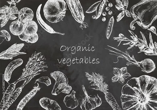 Hand-drawn illustration of vegetables, vector