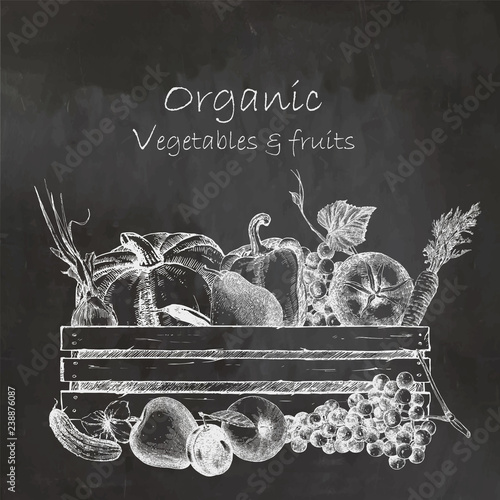Hand-drawn illustration of vegetables and fruits in box. Vector