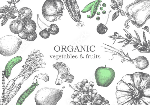 Hand-drawn illustration of vegetables and fruits. Vector