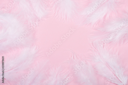 Fluffy white feathers forming a frame on a pastel pink background  as an abstract soft and gentle background   copy space in the center for your text