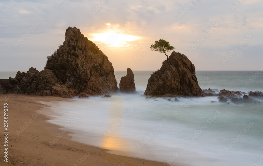 Sunset at the coastline of Tossa de Mar, Spain: Beach and rocks with a single tree against sun
