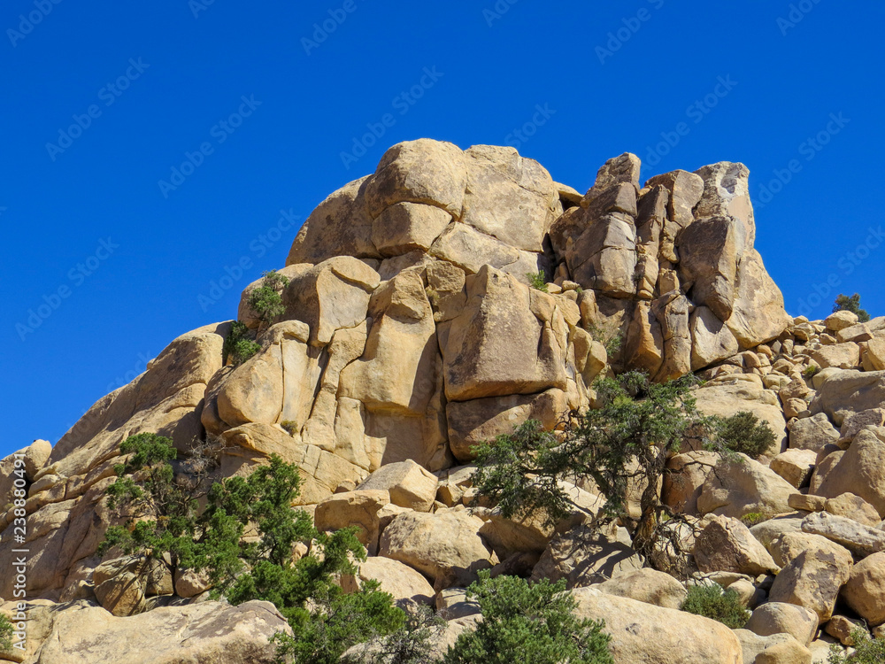 tall rock cliff for climbing in Joshua Tree