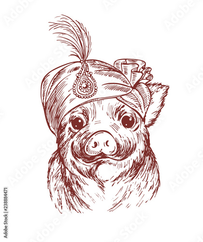 Hand draw a portrait of a ittle pig in fakir turban with feather. Vector sketch illustration. Symbol of a Chinese New Year 2019. photo