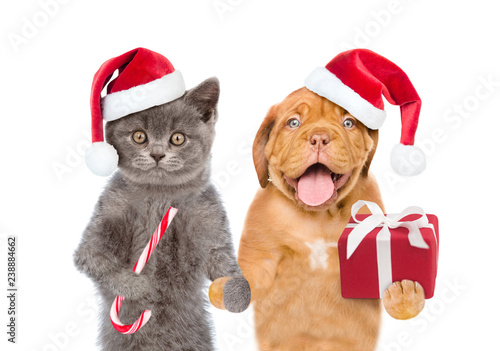Funny puppy and kitten in red christmas hats with gift box and candy cane. isolated on white background © Ermolaev Alexandr