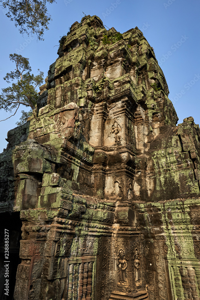 Fototapeta premium Ta Prohm historic site in Cambodia.