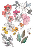 A collection of watercolors and drawings of flowers, floral arrangements and bouquets
