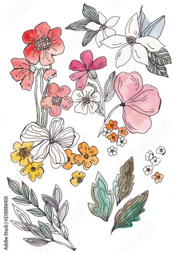 A collection of watercolors and drawings of flowers, floral arrangements and bouquets