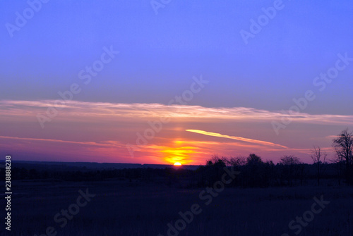 Beautiful sunset, purple-pink sky with golden sun, black trees silhouettes on horizon