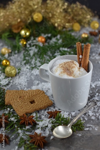 Tasse Kakao mit aufgeschäumter Milch, Zimtstangen, Spekulatius-Plaätzchen und Sternanis auf einem verschneiten Gartentisch - cup of chocolate with cream ans cinnamon in the snow
