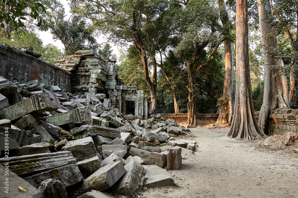 Ta Prohm historic site in Cambodia. Ta Prohm historic site in Cambodia.