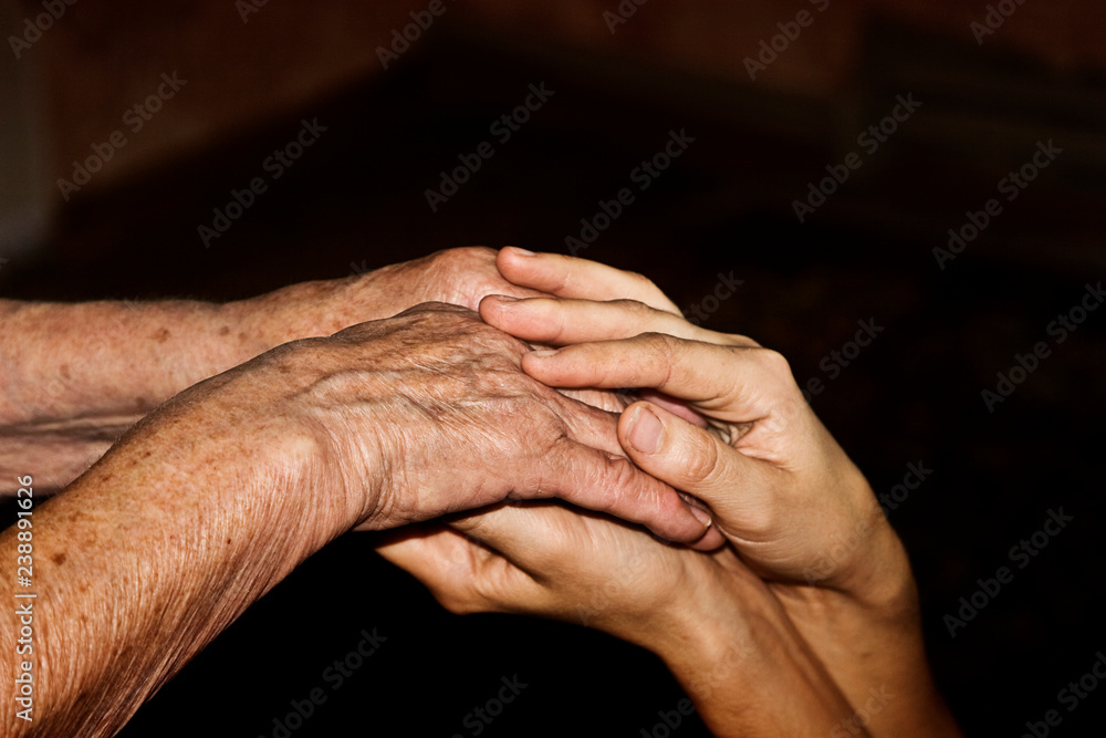 Fototapeta premium The hand of an old grandmother in the hand of a young granddaughter