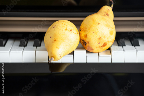 Cuadro en lienzo Two organic yellow pears placed on the piano key