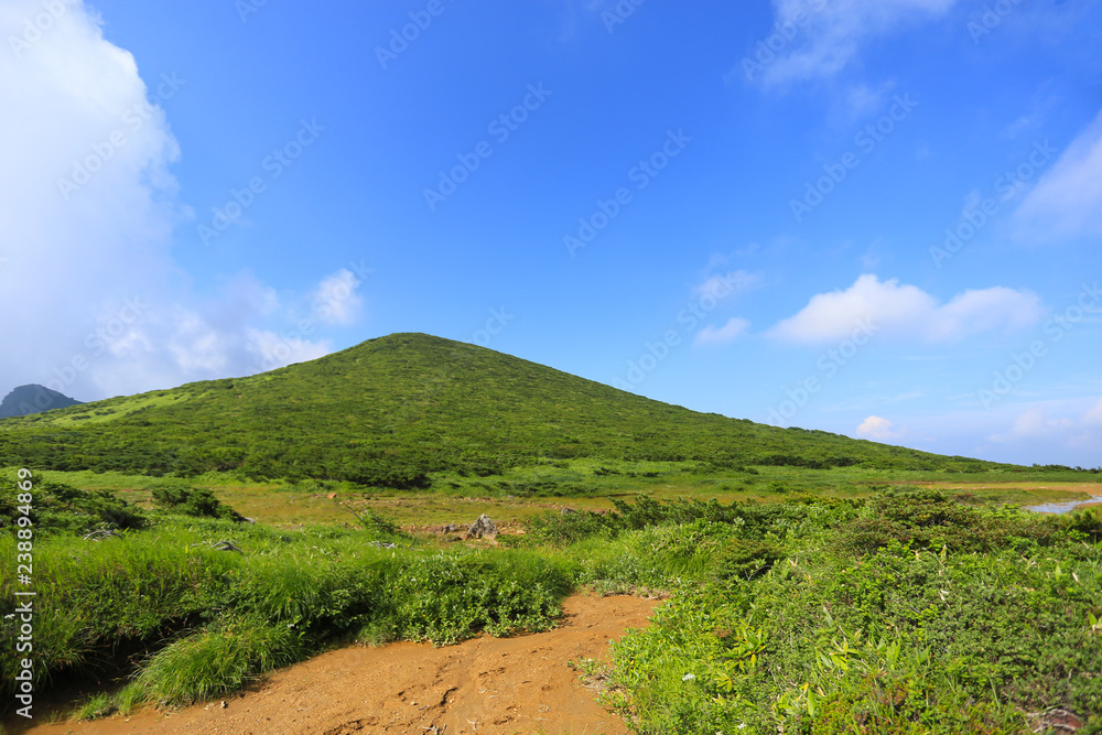 Fototapeta premium 小山