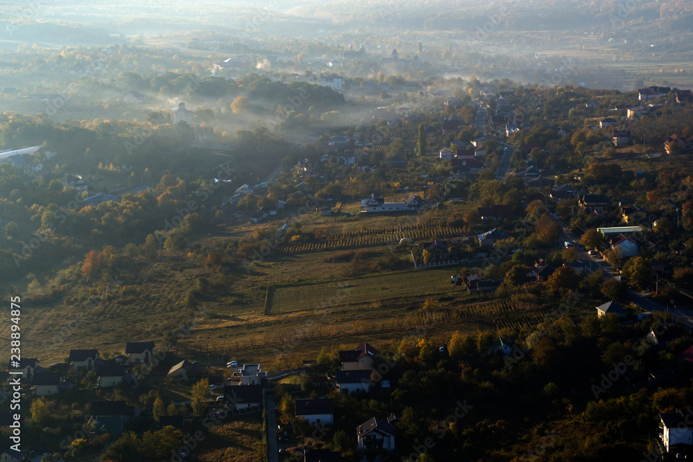 aerial drone view with trees in forest season