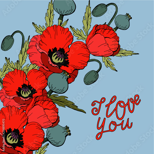 Fototapeta Naklejka Na Ścianę i Meble -  I love you, bouquet of Red Poppy flowers, hand drawing lettering, template of cards, vector