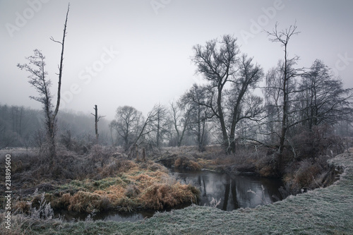 Landscape with Jeziorka river on a frosty morning photo