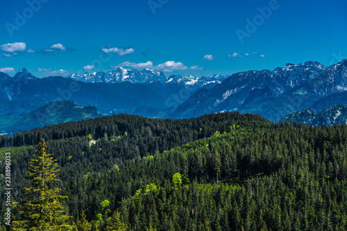 Fototapeta Naklejka Na Ścianę i Meble -  Bergpanorama mit Wäldern im Vordergrund mit Zugspitze Allgäu Bayern Deutschland