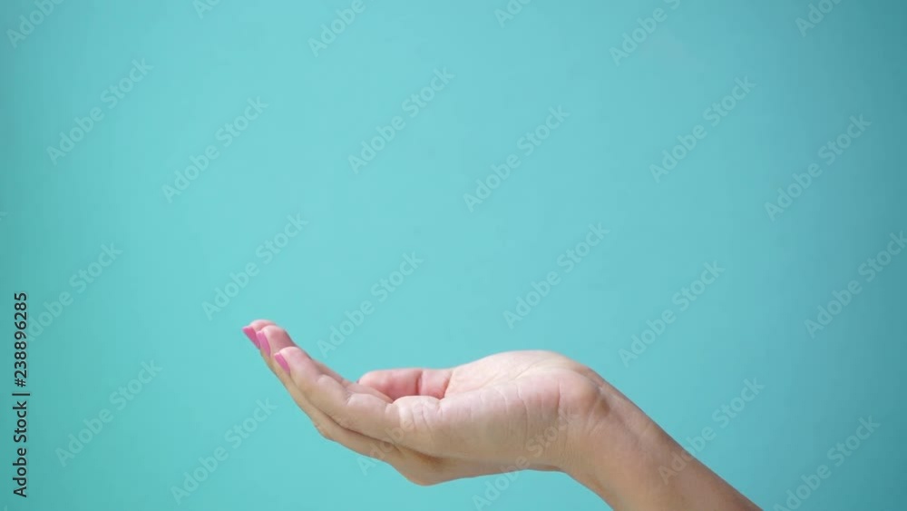Closeup side view of female empty palm isolated on green wall background. Real time full hd video footage. Closeup side view of female empty palm isolated on green wall background. Real time full hd video footage.