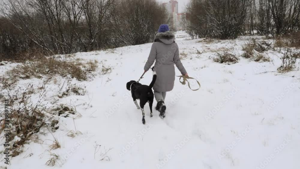 Beautiful cheerful girl walking the dog Pointer in the snow. Beautiful cheerful girl walking the dog Pointer in the snow.