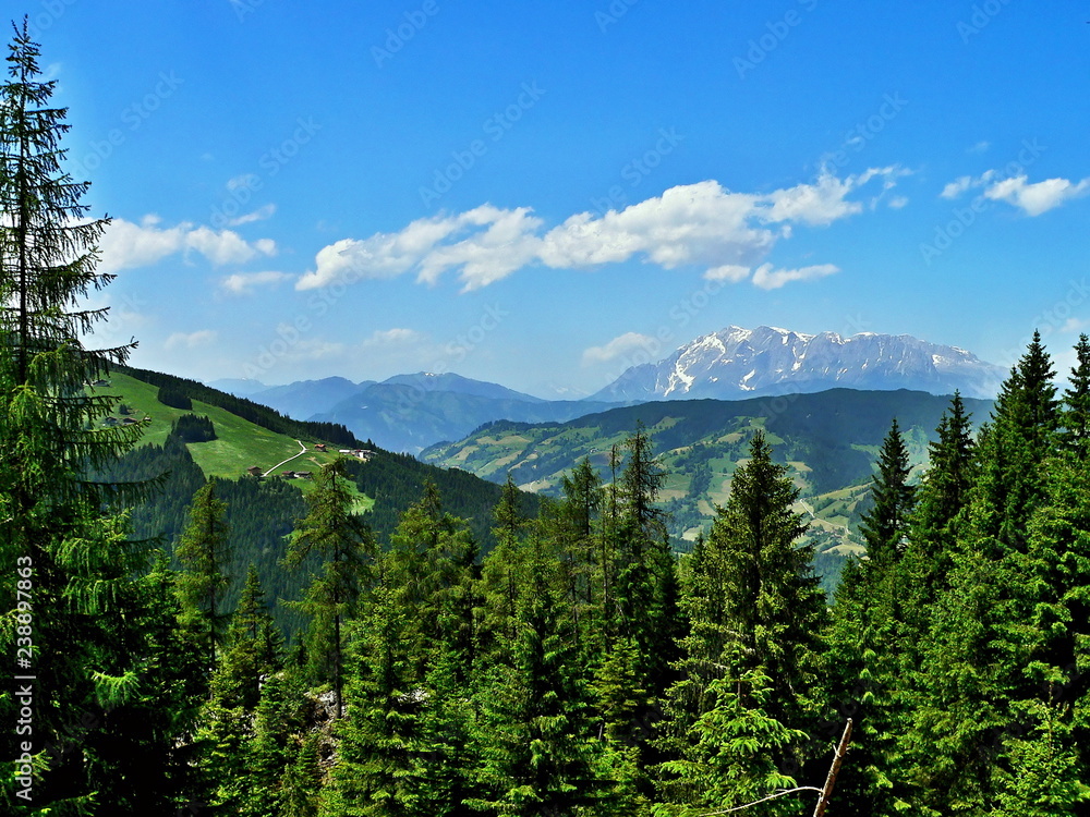 Austrian Alps-outlook from Barenwaldstrasse