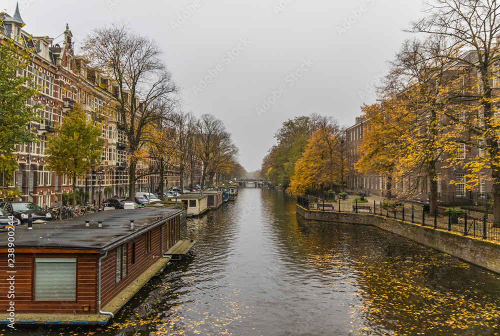 Fototapeta premium Amsterdam, Netherlands - main city and capital of the country, Amsterdam offers a splendid display of history and modernity, surrounded by the unique view of its canals