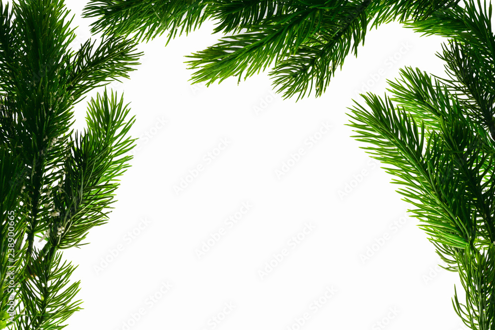 On a white background on the sides and on top are branches of coniferous spruce
