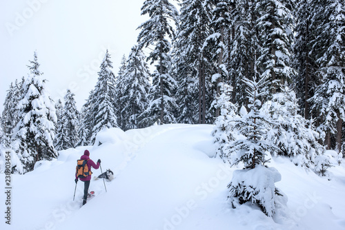 Austria, Altenmarkt-Zauchensee, young woman with dog on ski tour in winter forest