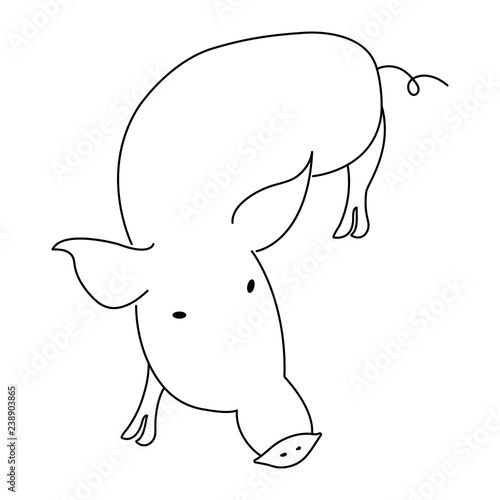 Hand drawn pig silhouette. Vector illustration on white background. Line icon