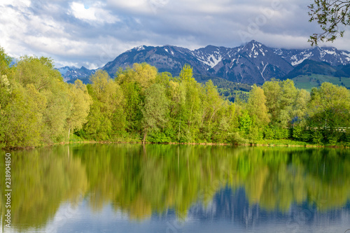 Allg  u - See - Wasser - Spiegelung - B  ume - Sommer