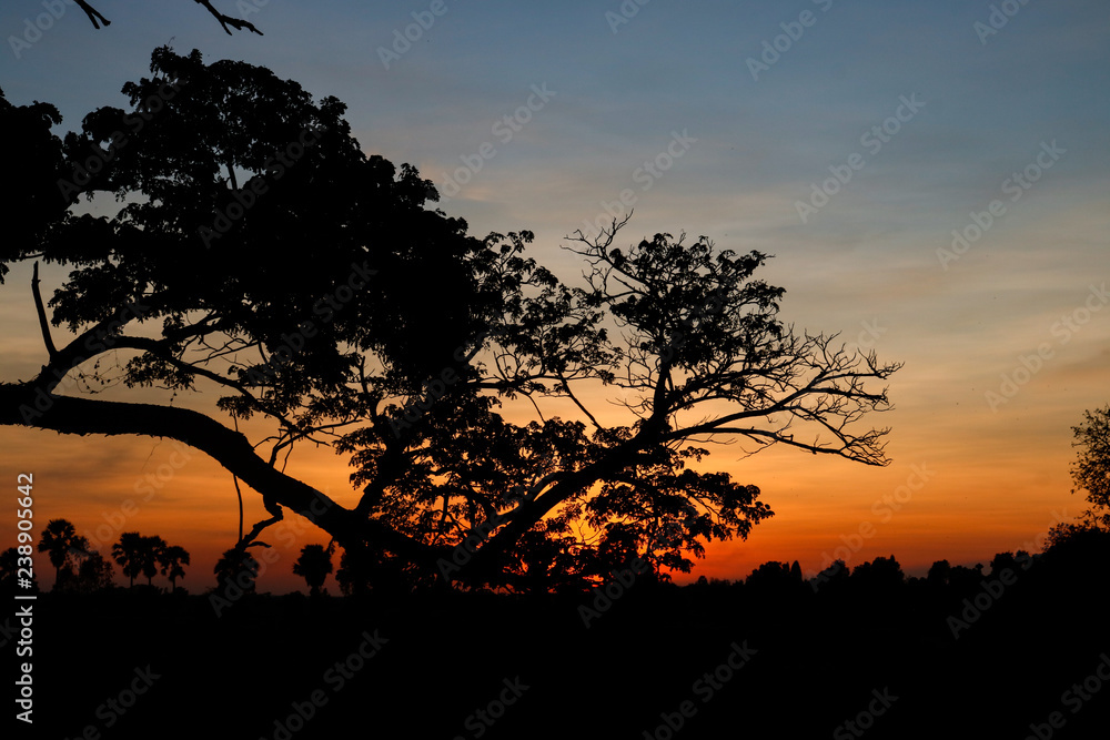 Natural scenery, sunset, evening,Environment and nature,sky