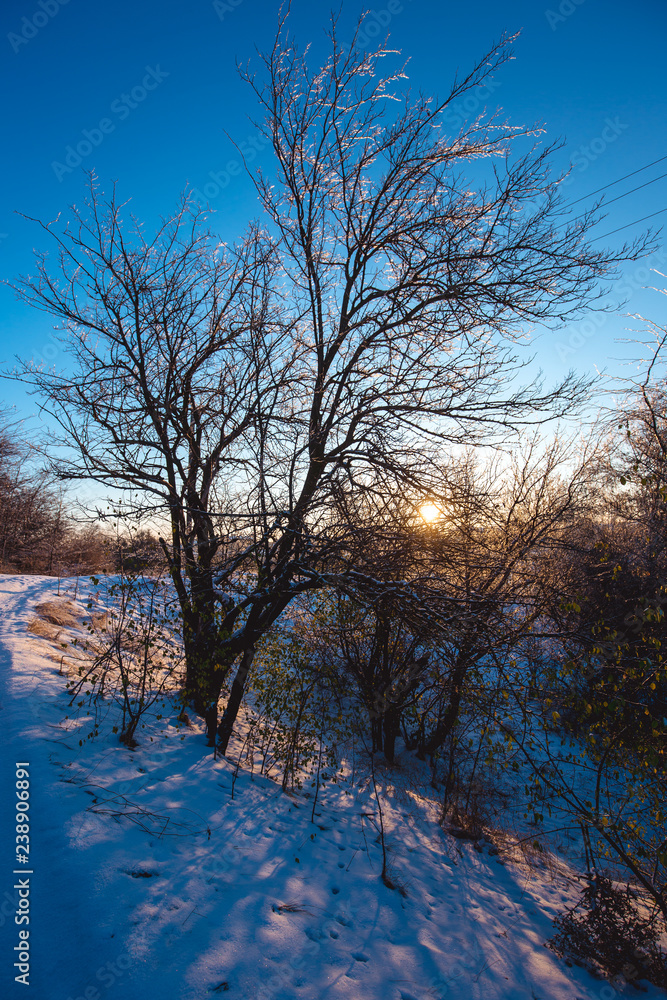 Winter sunny morning landscape with a country road Winter sunny morning landscape with a country road