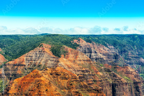 Amazing Waimea canyon in Kauai, Hawaii islands, USA. Copy space for text.