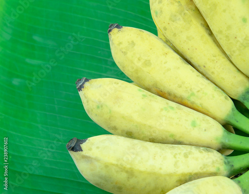 Cultivated banana on banana leaves