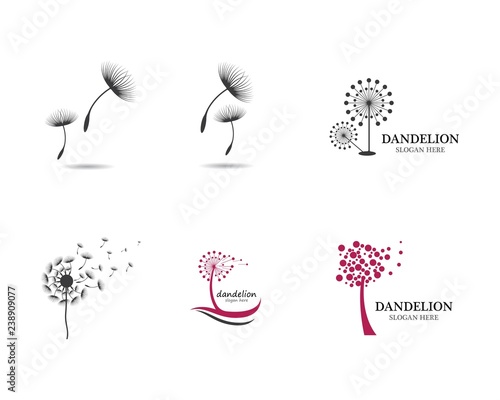 Fototapeta Naklejka Na Ścianę i Meble -  Dandelion vector illustration design