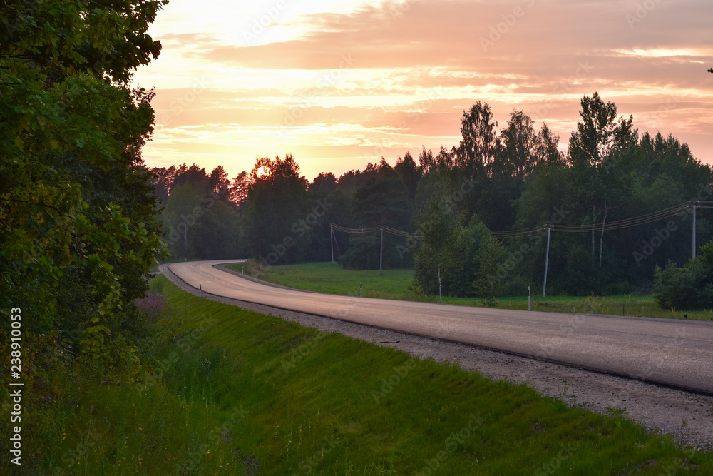 Fototapeta premium Sunset, forest road, sunset sky