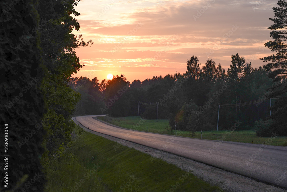 Fototapeta premium Sunset, forest road, sunset sky