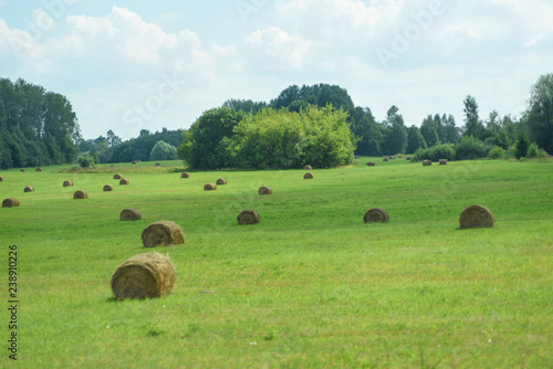 Green field, sheaves of hay