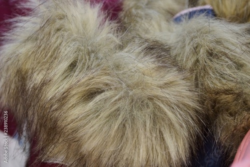 gray texture of fluffy fur on the collar of clothes