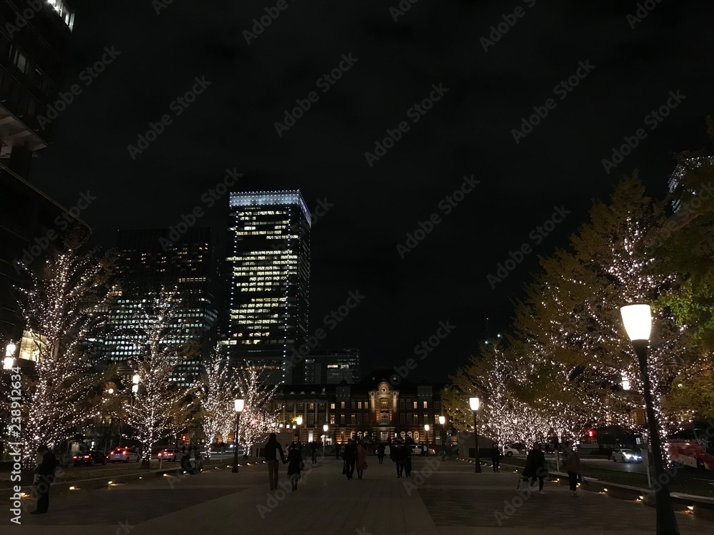 Fototapeta premium 東京駅の夜景