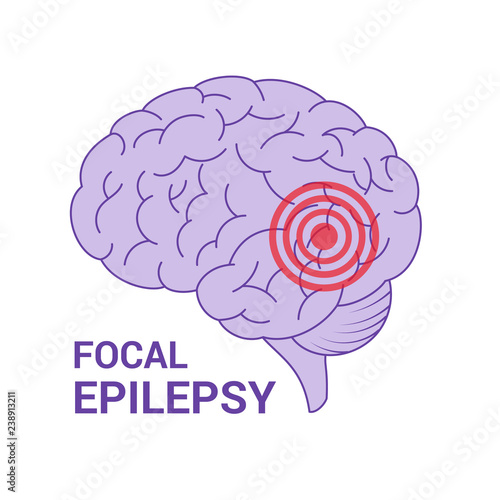 Brain vector icon