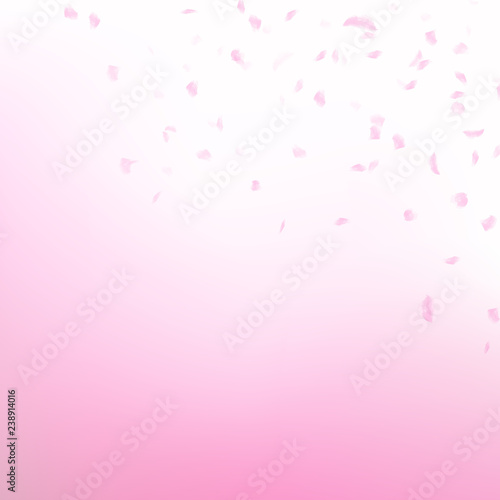 Sakura petals scatter falling, watercolor ink artistic blurry texture romance holiday concept abstract background vector illustration