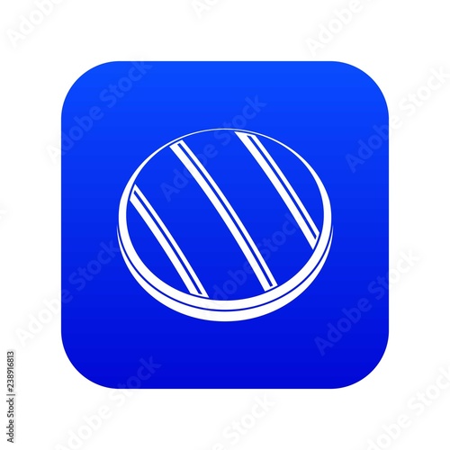 Grilled round beef steak icon digital blue for any design isolated on white vector illustration