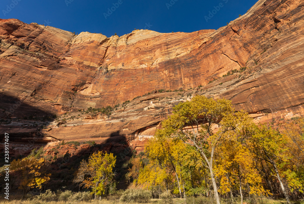 Zion national Park Utah Fall Landscape