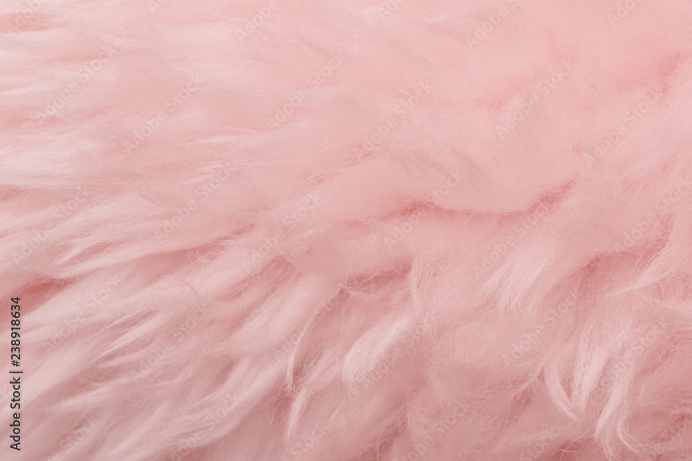 Pink animal wool texture background. Rosy tint natural wool. Close-up texture of plush fluffy fur Pink animal wool texture background. Rosy tint natural wool. Close-up texture of plush fluffy fur