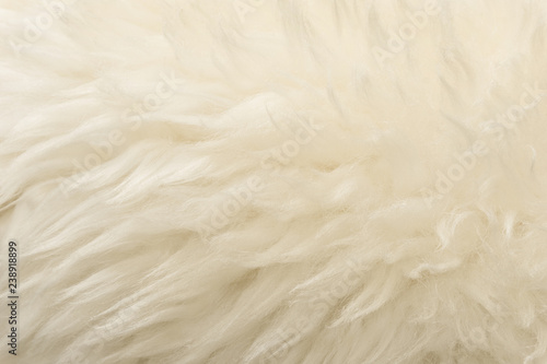 White animal wool texture background. Beige tint natural wool. Close-up texture of plush fluffy fur
