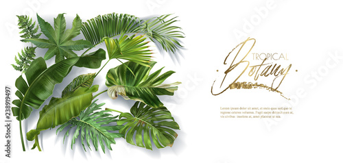 Vector horizontal banner with green tropical leaves on white background. Luxury exotic botanical design for cosmetics, spa, perfume, aroma, beauty salon. Best as wedding invitation card