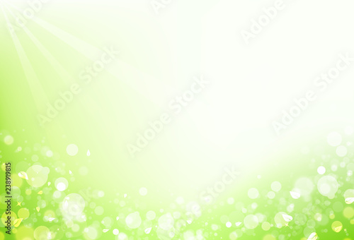 Nature, leaf scatter with blur fresh bubble air and star shine sparkle Bokeh concept abstract background vector illustration