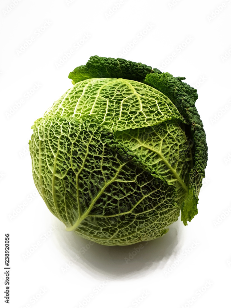 Nahaufnahme Wirsingkohl Welschkohl freigestellt auf weißem Hintergrund Nahaufnahme Wirsingkohl Welschkohl freigestellt auf weißem Hintergrund