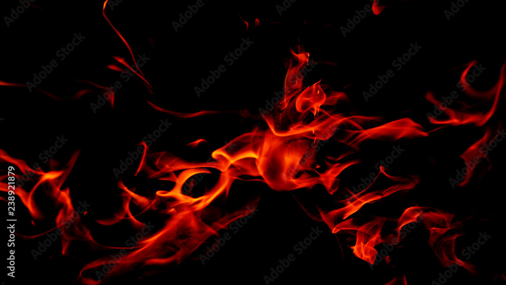 Fire flames on Abstract black background, Burning red hot sparks rise from large fire in, Fiery orange glowing Fire flames on Abstract black background, Burning red hot sparks rise from large fire in, Fiery orange glowing